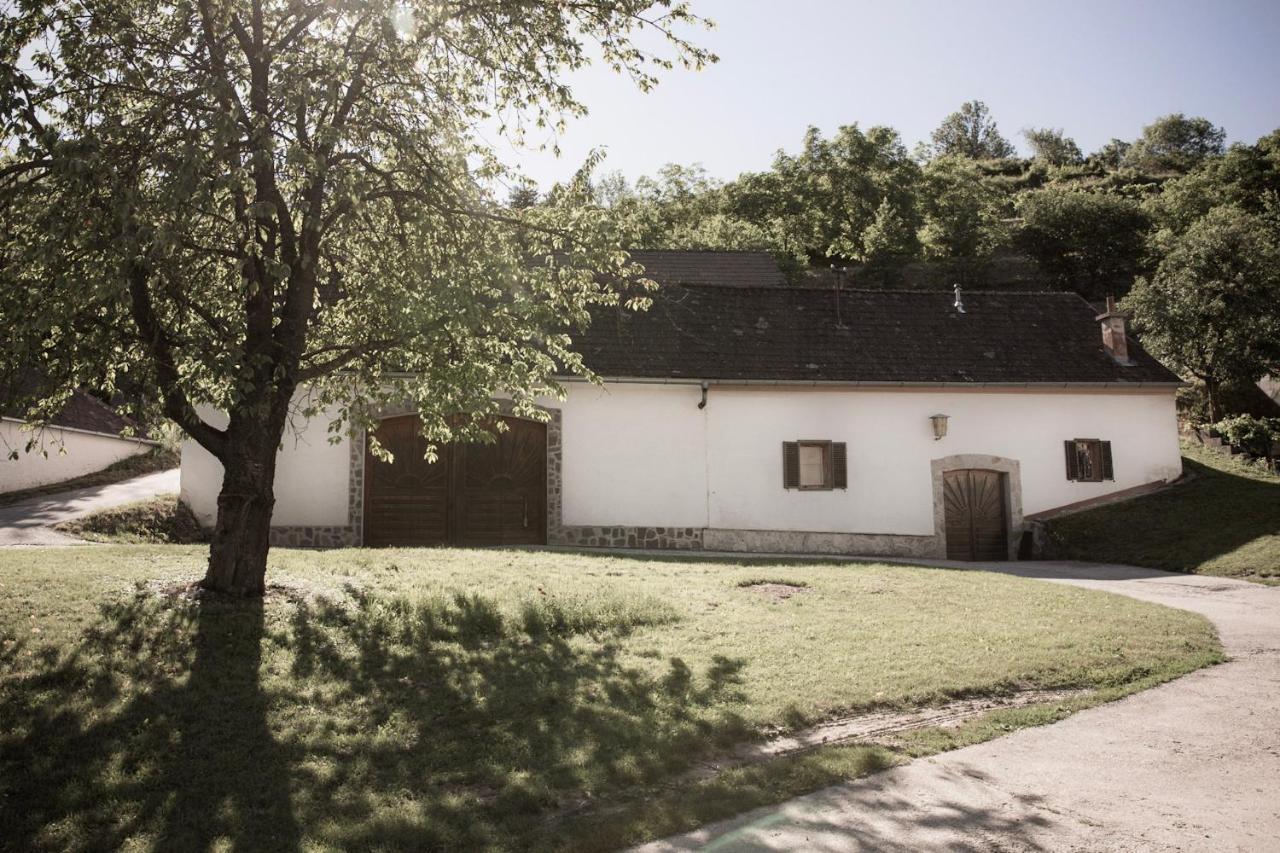 Ferienwohnung Am Weingut Eisenbock Strass  Buitenkant foto