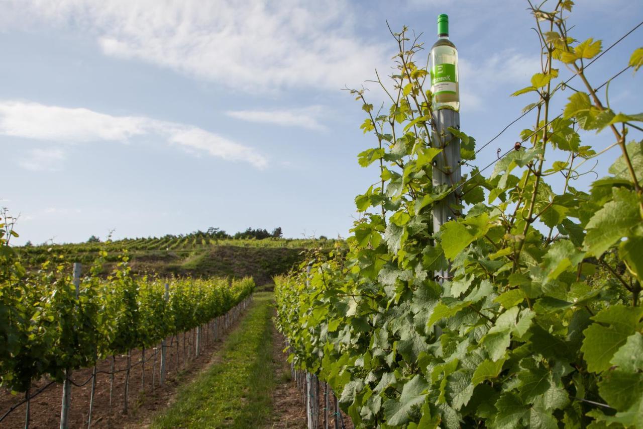 Ferienwohnung Am Weingut Eisenbock Strass  Buitenkant foto