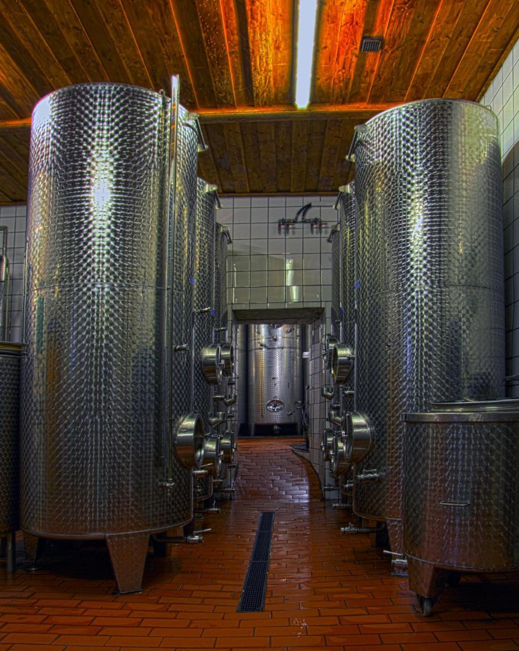 Ferienwohnung Am Weingut Eisenbock Strass  Buitenkant foto